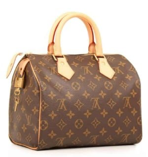 Luxury Bag 5